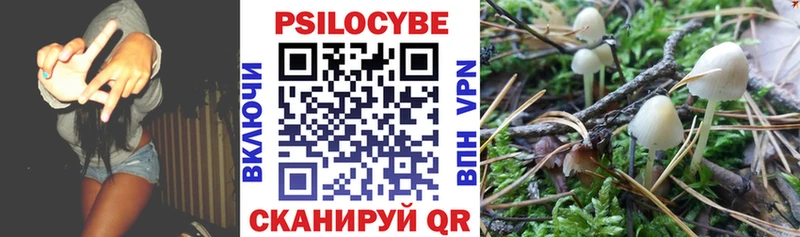 Купить где  Магадан  Галлюциногенные грибы Cubensis 